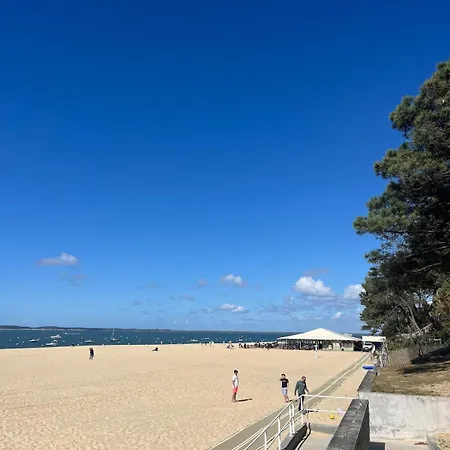 Detente, Sable Et Coquillages