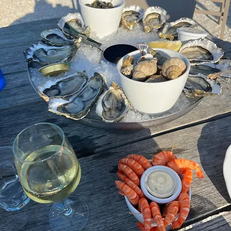 Detente, Sable Et Coquillages *